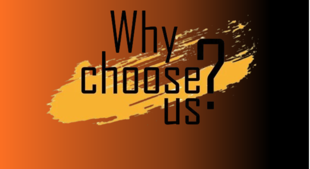 Why choose us section showing key benefits of custom mobile app development including expert team, modern design, fast delivery, and secure solutions.
